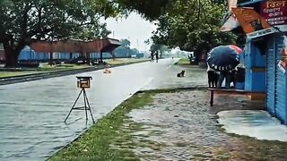 বৃষ্টি ভেজা দিন। অসাধারণ মুহূর্ত????