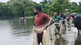 Fish assam