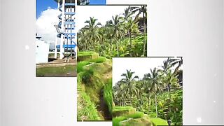 Amta park