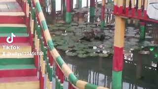 Music 383