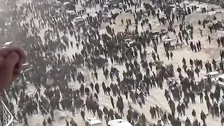 Free Palestine