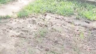 Beautiful nature 201