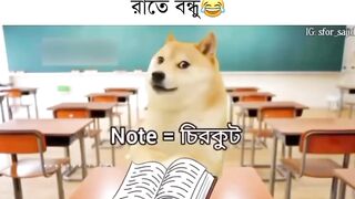 কোঠার দিন শেষ। তাই প্রচুর পড়তে হবে।????