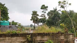 Natural weather videos