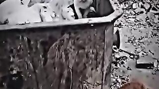 You let me eat this dirty cake