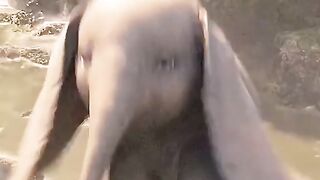 flying  elephant funny short  #top2one #funny #SHORTS #tranding