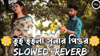 Bangla Lo-Fi song 24