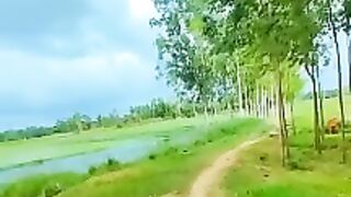 গ্রামীণ পরিবেশের অসম্ভব সুন্দর দৃশ্য।।