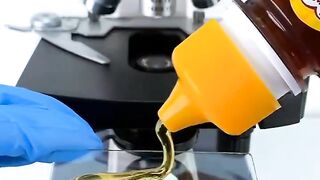 Honey Under The Microscope ????