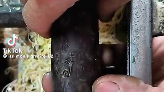 A very nice Chinese video