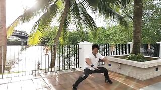 wushu 3rd set nanquan part 1
