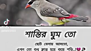 Bangla sad TikTok