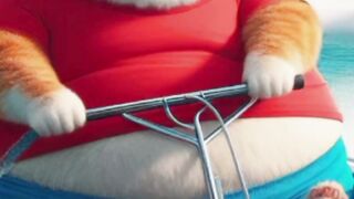 Sad story cat videos ????????????