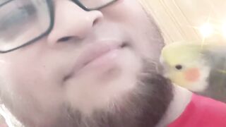 "Pinky, My Lovely Cocktail Bird: A Feathered Delight"