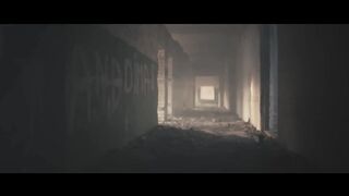 Alan walker 5