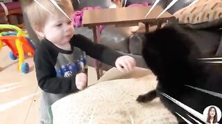 best funny video????????