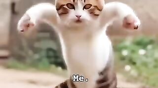 Funny video???????? 12