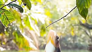 Amzing fish pawor