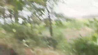 Spot The Fake Animal _10_000 __ bangla daubing _bangla _mrbeast