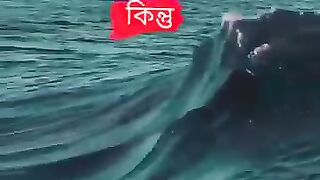 আনেক ভালোবাসি প্রিও