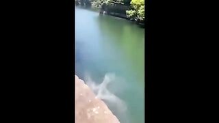 unbelivable funy video