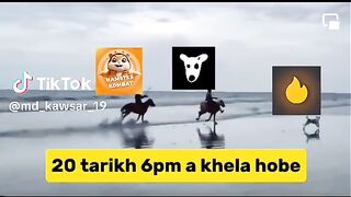 Funny video 2024???????????? 2