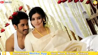 Funny Video Must Watch