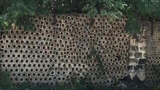 STALKER Сидорович желает удачной охоты