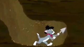 Tom????????