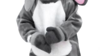 Rabbit dance