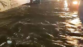 funny video???????? 7