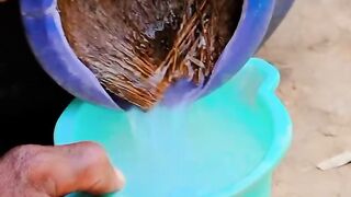 Village Drink,  Trending
