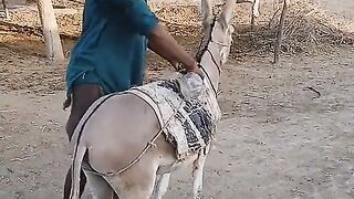 Must laughing funny video 2????