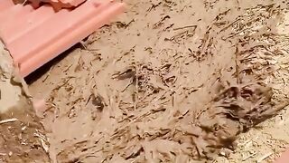 Fanny video comedy