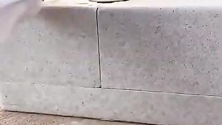 Crazy car 2