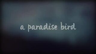 alec_benjamin_let_me_down_slowly_lyrics_h264_18432.