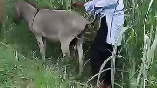 কি কাজ করে রে ভাই এটা কোন ধরনের খবর ফানি ভিডিও funny funny video