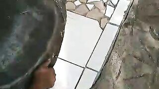 Turtle animal
