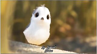 Cute love story 4