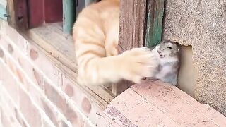 Funny video???? 10