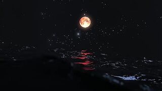 Wow...! ???? Feel this moment.