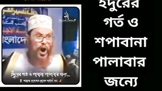 Saidi