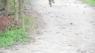 funny ???? video 3