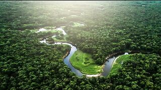 Rivers of the World Purus The Deepest in the Amazon