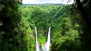 21 Facts Amazon Forest 99_ People Never Know  Fact Fusion #amazonrainforest
