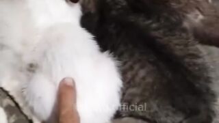 Wait for the end???????????? 3