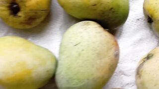 Mango 6