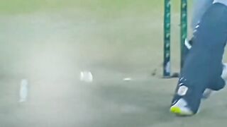 Cricket lovers cricket video