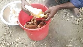 মধু কিভাবে সংগ্রহ করে