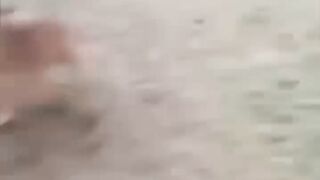 Md Lelin Uddin - দেখেন গাইজ কুকুর আর গুই সাপের লড়াই